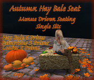 Autumn / Halloween Hay Bale  seat