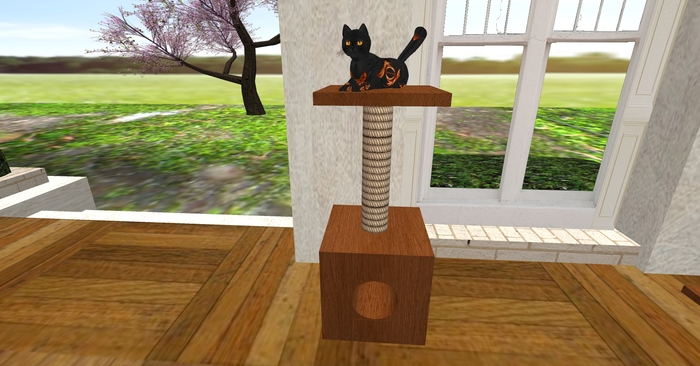 Scratchingpole nr.1