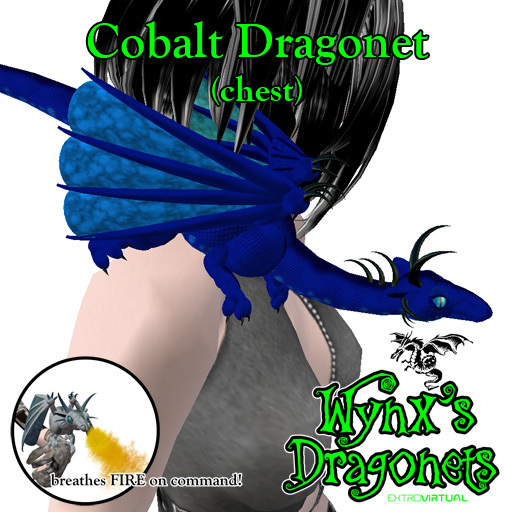 Cobalt Dragonet (chest)