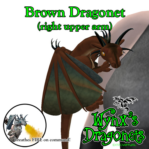 Brown Dragonet (rt upper arm)