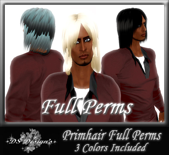 ** DS Design's ** FULL PERMS HAIR - STRUCTURE LONG