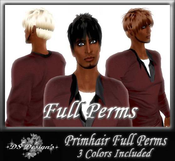 ** DS Design's ** FULL PERMS HAIR - COUPE FRANGE