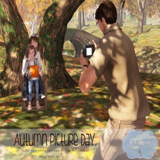 {tg.} - Autumn Picture Day (boxed)