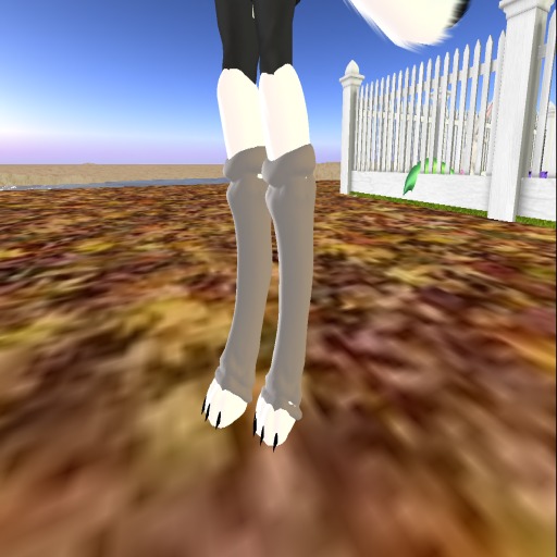 New Canine legs