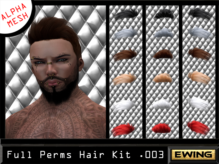 *+EWING+* Full Perm Hair Kit 003 dae vers