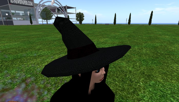 halloween witch hat mesh