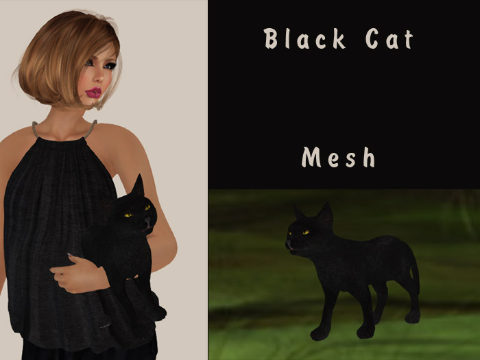 Black Cat - Mesh