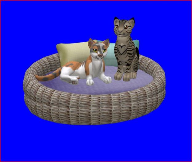 Cat Bed, Basket, Kitten Basket