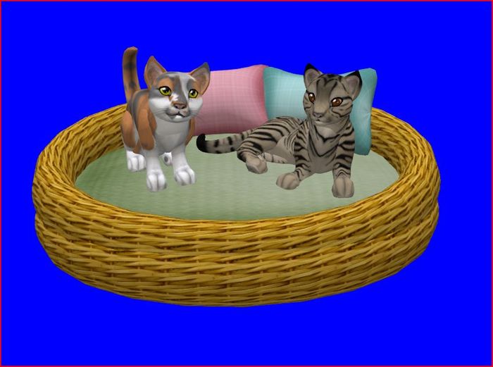 Dog Bed for small Dogs