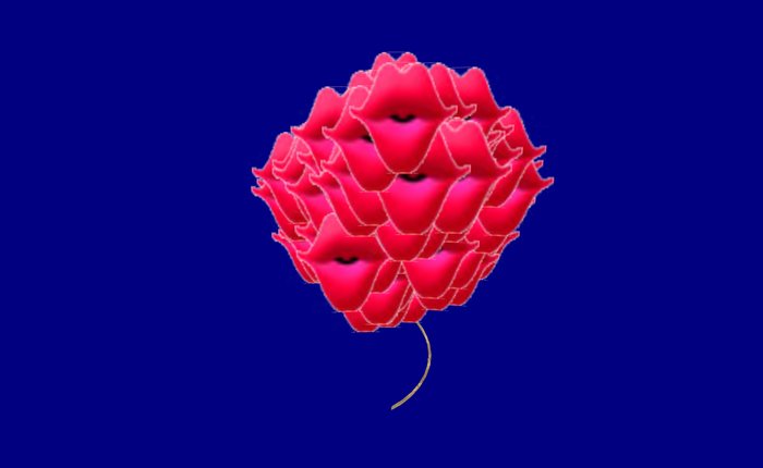 Valentine Balloon Heart 2d