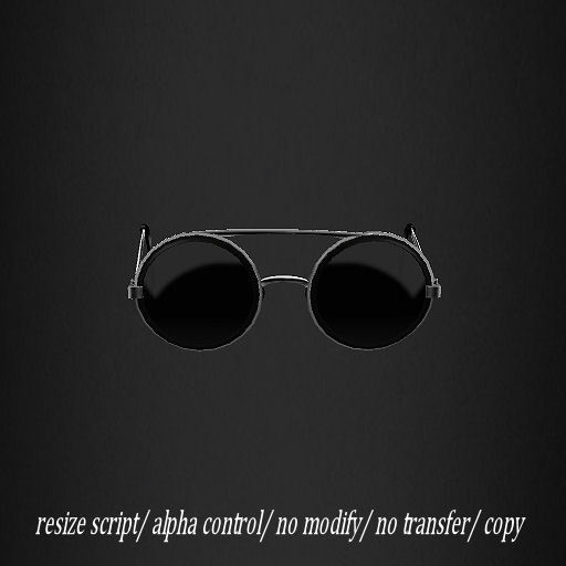 SUNGLASSES TRC55 SILVER       -RYCA-