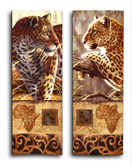 African Leopards