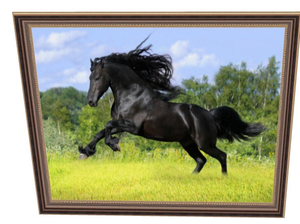 Horse Playing
