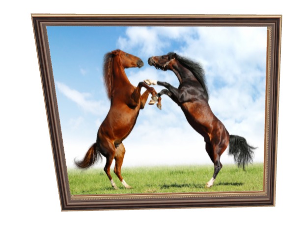 Horse's Battle