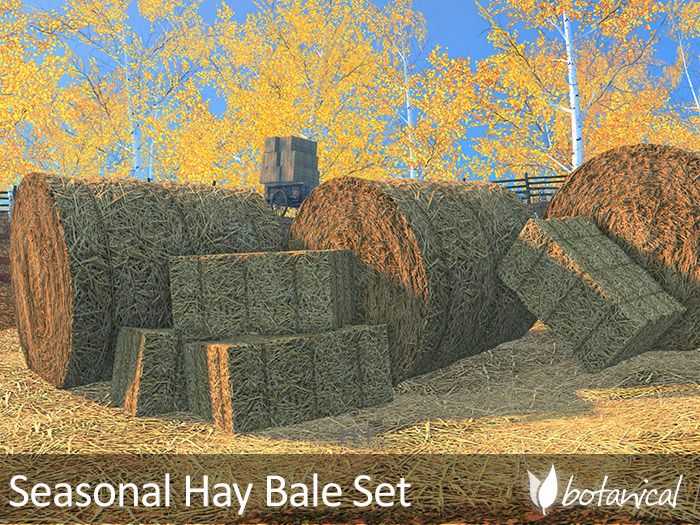 Botanical - Seasonal Hay Bale Set