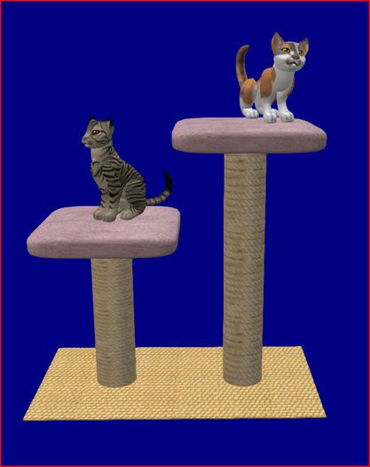 Cat Tree, Kitten Tree, Cat Condo, Scratching Post