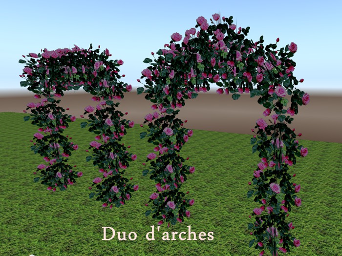 Duo arches Rosiers