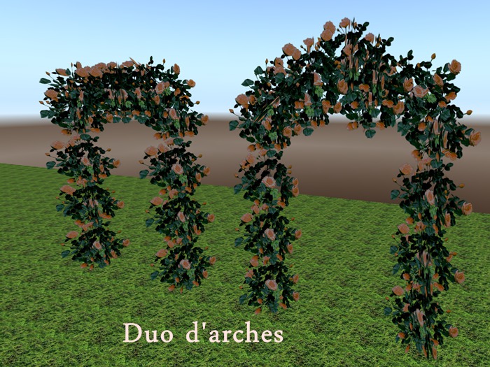 Duo d'arche rosier 
