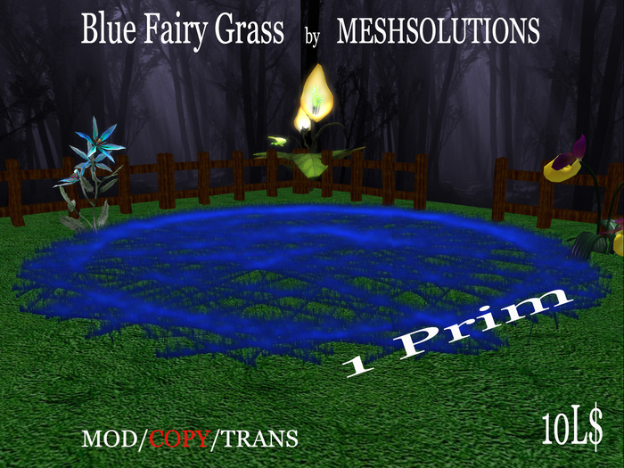 Blue Fairy Grass
