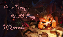 Gnar bumper