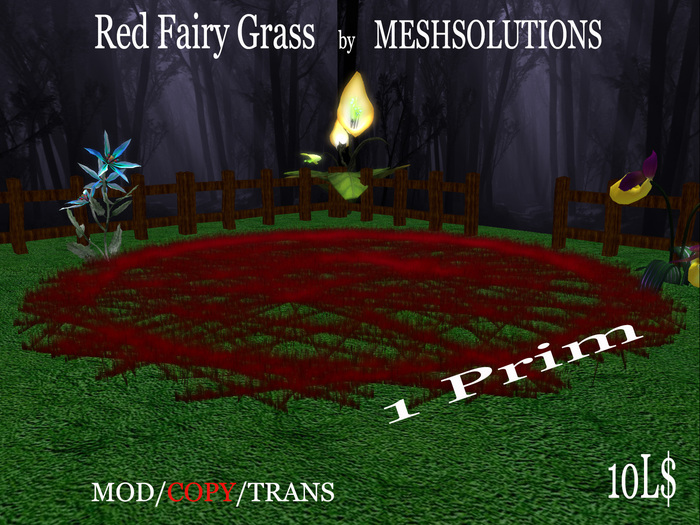 Red Fairy Grass