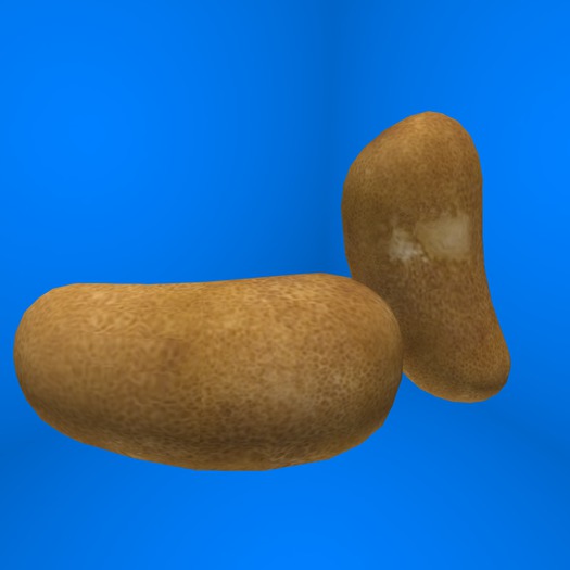 Potato