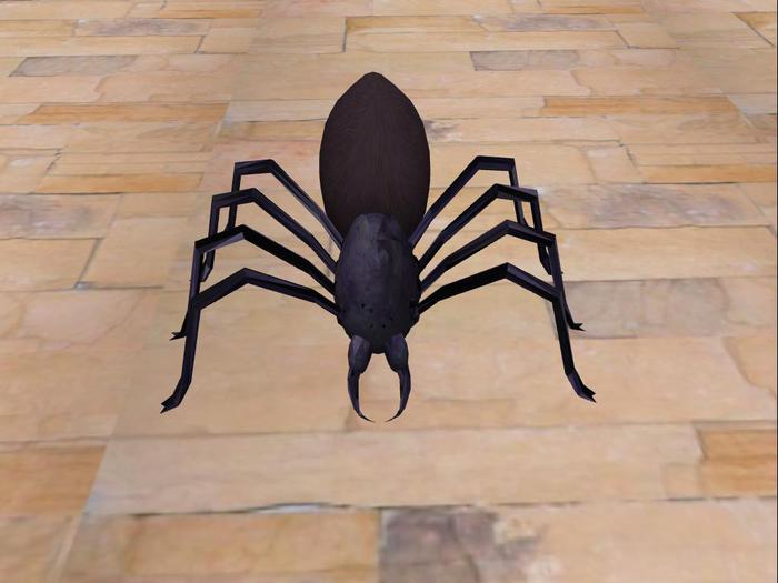 Hallowenn Spider