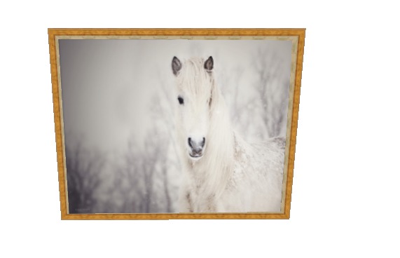 White Horse