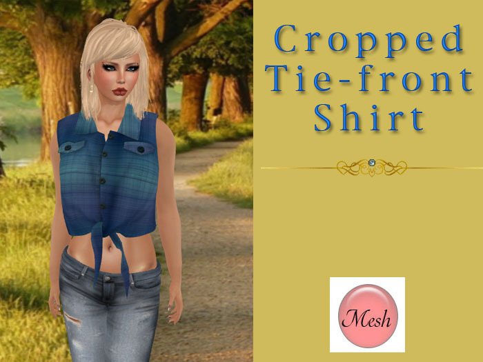 Mesh_Cropped Tie-front Shirt