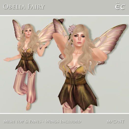 *EC* Obelia Fairy - Pink