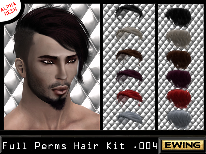 *+EWING+* Full Perm Hair Kit 004
