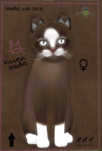 ♀ 8T Chateau Coffee & Cream 1 Crystal Clear Curious Small Glitter Mysterious Pointed Soft Fold White Boo Boo