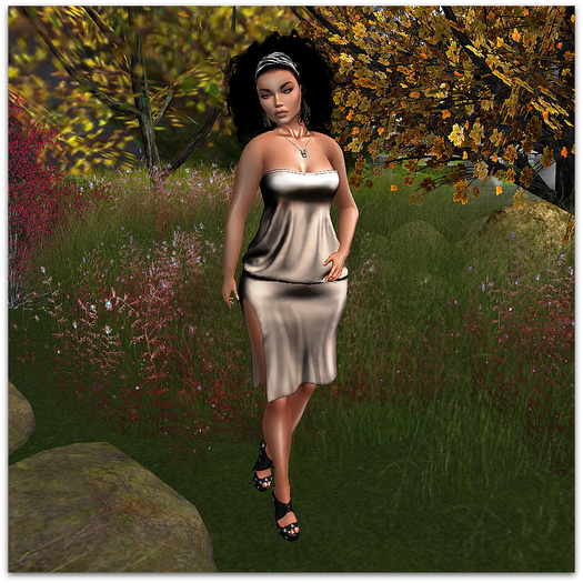 Straples Dress Cream - (tm) freeaky