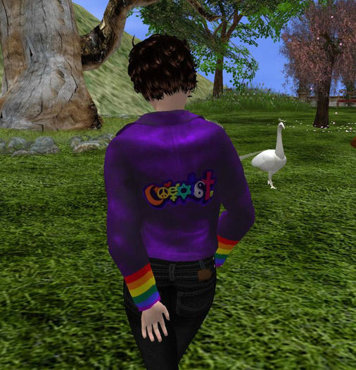 Ladies MESH Coexist Shorty Jacket