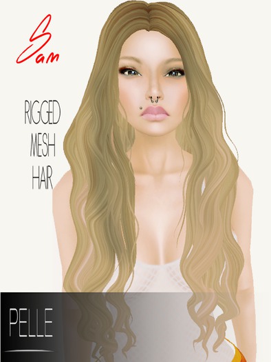 Pelle - SAM RIGGED MESH HAIR GRADIENT