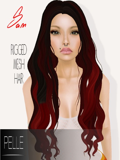Pelle - SAM RIGGED MESH HAIR BLACK RED