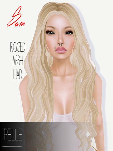 Pelle - SAHANA 100% RIGGED MESH HAIR BLACK