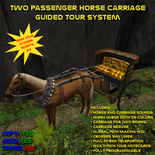 Horse Carriage Tour 3.201 Boxed