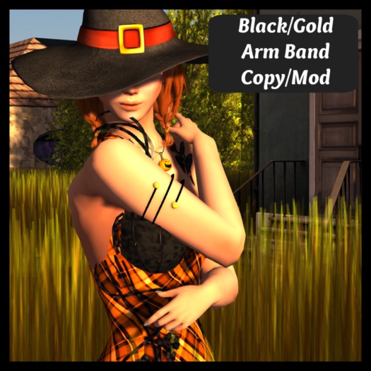 ::TS:: Black and Gold Arm Band