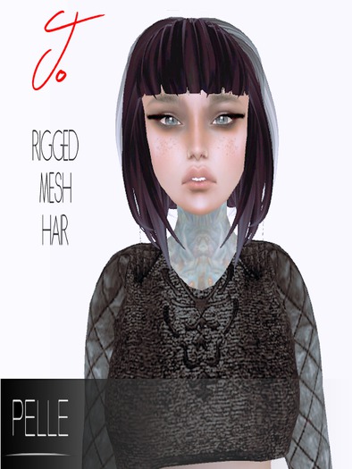 Pelle - JO RIGGED MESH HAIR RAVEN