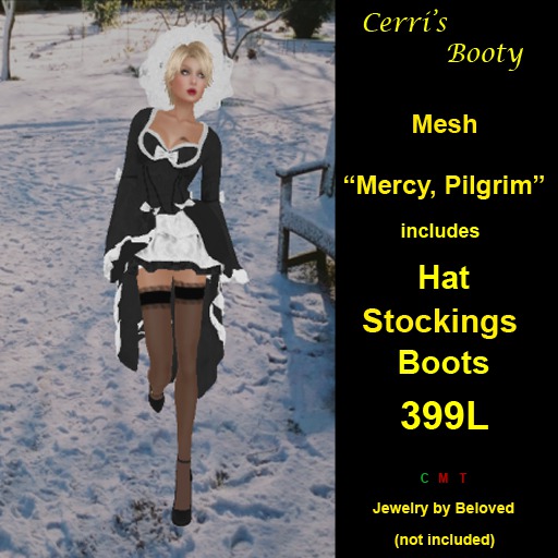 Cerri's Mercy Pilgrim