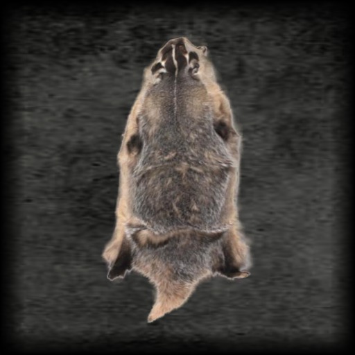 Badger Hide [skin]