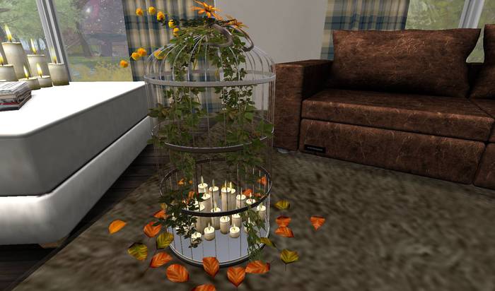 CJ Autumn Cage