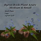 Byron Rock Plant Azure - Sandstone Med & Sm