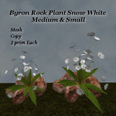Byron Rock Plant Snow White - Sandstone Med & Sm