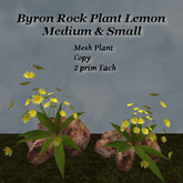 Byron Rock Plant Lemon - Sandstone Med & Sm