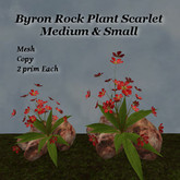 Byron Rock Plant Scarlet - Sandstone Med & Sm