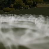 Multicolor Fog Field