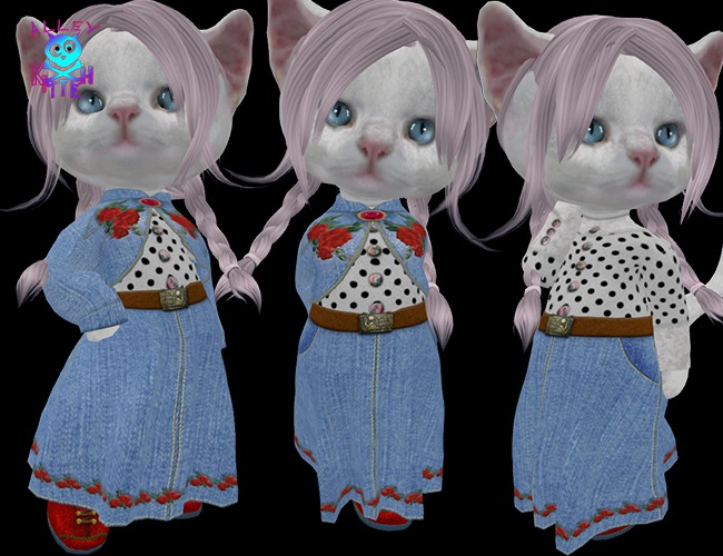 Dinkie Roses on Denim Outfit