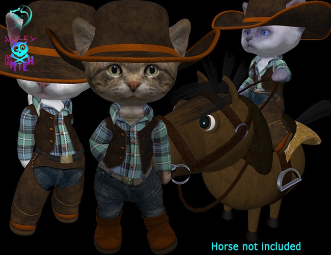 Dinkie Cowboy Riding Outfit No2